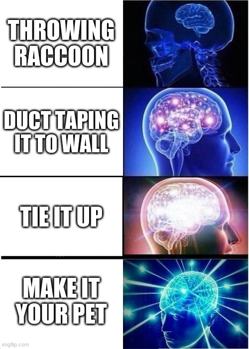 Expanding Brain | THROWING RACCOON; DUCT TAPING IT TO WALL; TIE IT UP; MAKE IT YOUR PET | image tagged in memes,expanding brain | made w/ Imgflip meme maker