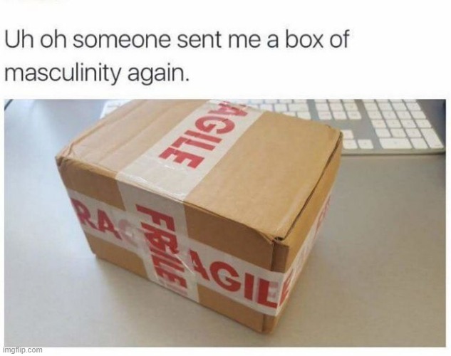 Why? | image tagged in toxic masculinity,fragile,funny,memes,so true memes | made w/ Imgflip meme maker