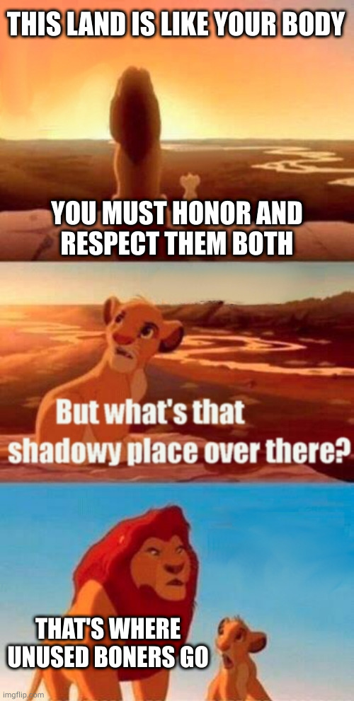Finish your boner, there are unlaid people in Africa! |  THIS LAND IS LIKE YOUR BODY; YOU MUST HONOR AND
RESPECT THEM BOTH; THAT'S WHERE UNUSED BONERS GO | image tagged in memes,simba shadowy place | made w/ Imgflip meme maker