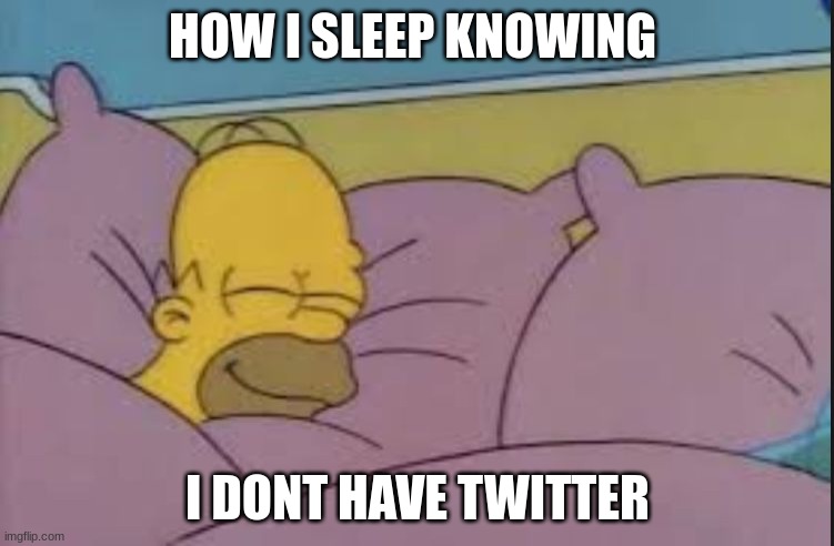 how i sleep |  HOW I SLEEP KNOWING; I DONT HAVE TWITTER | image tagged in how i sleep homer simpson | made w/ Imgflip meme maker
