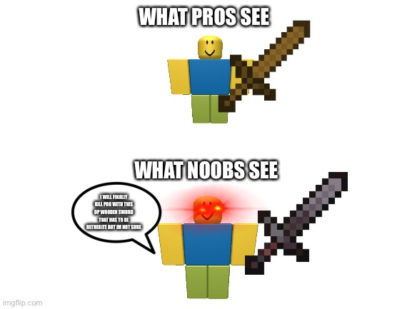 The OP wooden sword | WHAT PROS SEE; WHAT NOOBS SEE; I WILL FINALLY KILL PRO WITH THIS OP WOODEN SWORD THAT HAS TO BE NETHERITE BUT IM NOT SURE | image tagged in blank white template | made w/ Imgflip meme maker