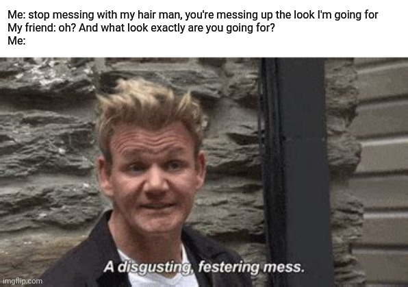 I nail the look everyday |  Me: stop messing with my hair man, you're messing up the look I'm going for
My friend: oh? And what look exactly are you going for?
Me: | image tagged in chef gordon ramsay,gordon ramsay,memes,funny | made w/ Imgflip meme maker