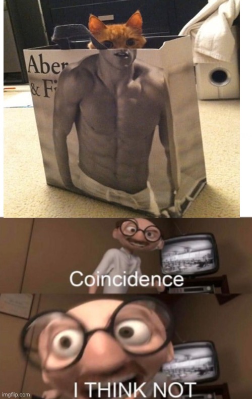 image tagged in coincidence i think not,strong cat | made w/ Imgflip meme maker