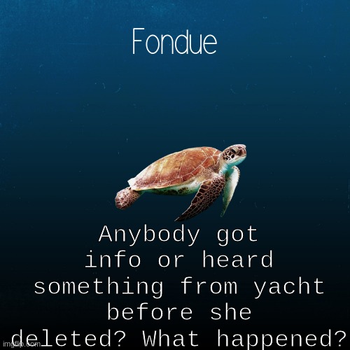 turtle template-Fondue | Anybody got info or heard something from yacht before she deleted? What happened? | image tagged in turtle template-fondue | made w/ Imgflip meme maker