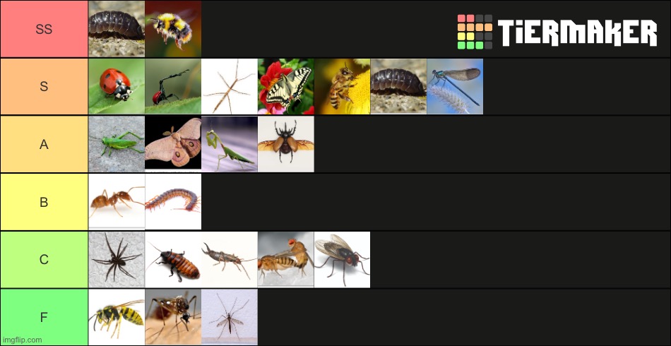 My bug tierlist | made w/ Imgflip meme maker