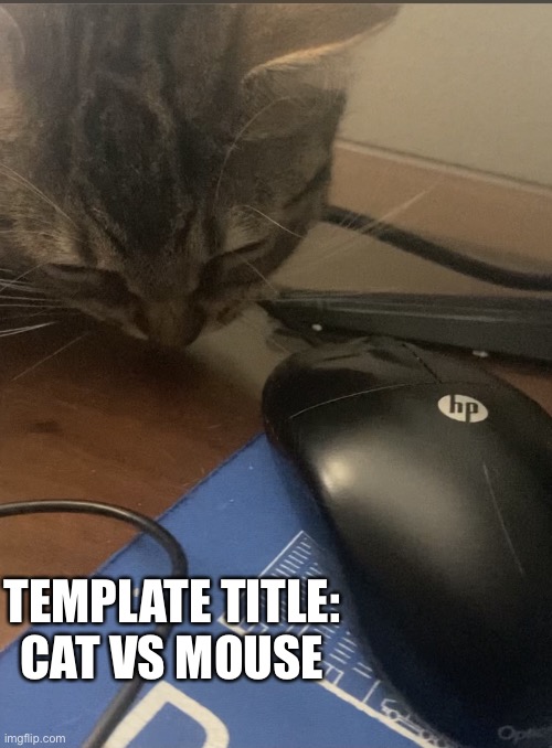 Template saved as: cat vs mouse, also cat and mouse or mouse and cat | TEMPLATE TITLE: CAT VS MOUSE | image tagged in cat vs mouse,cat | made w/ Imgflip meme maker