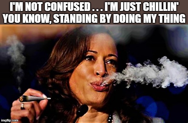 Kamala smokes pot | I'M NOT CONFUSED . . . I'M JUST CHILLIN'
YOU KNOW, STANDING BY DOING MY THING | image tagged in kamala smokes pot,political humor,kamala harris,confused,just chillin',thing | made w/ Imgflip meme maker