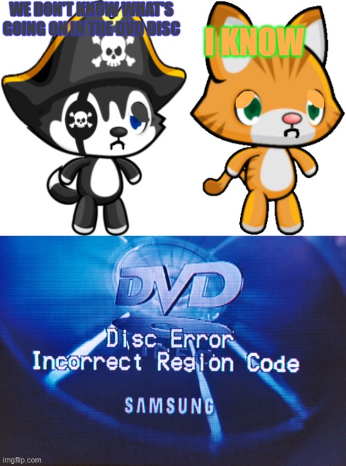 Disk error |  WE DON'T KNOW WHAT'S GOING ON IN THE DVD DISC; I KNOW | image tagged in pirate husky dog,disc error,esrb rating | made w/ Imgflip meme maker