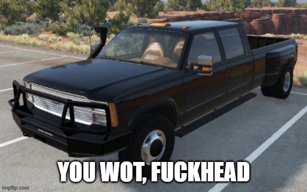 Josh's BeamNG.Drive truck | YOU WOT, FUCKHEAD | image tagged in josh's beamng drive truck | made w/ Imgflip meme maker