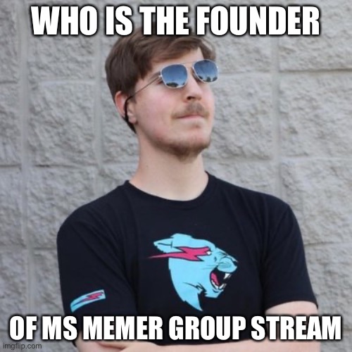 need answer | WHO IS THE FOUNDER; OF MS MEMER GROUP STREAM | image tagged in mr beast | made w/ Imgflip meme maker