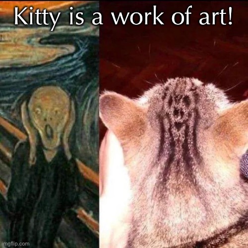 The Scream | Kitty is a work of art! | image tagged in funny memes,funny cat memes | made w/ Imgflip meme maker