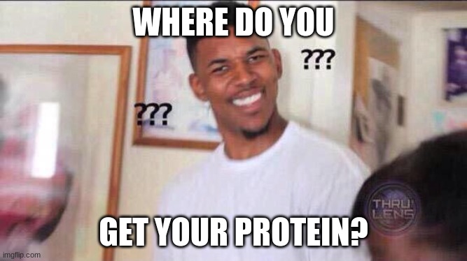 Black guy confused | WHERE DO YOU GET YOUR PROTEIN? | image tagged in black guy confused | made w/ Imgflip meme maker