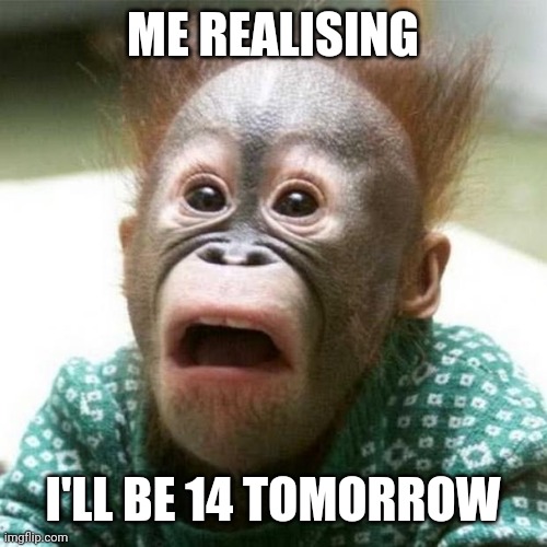 Shocked Monkey | ME REALISING; I'LL BE 14 TOMORROW | image tagged in shocked monkey | made w/ Imgflip meme maker