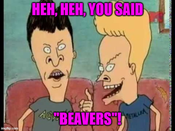 Beavis & Butt-Head he said | HEH, HEH, YOU SAID "BEAVERS"! | image tagged in beavis butt-head he said | made w/ Imgflip meme maker