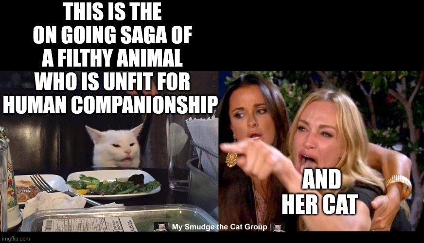 THIS IS THE ON GOING SAGA OF A FILTHY ANIMAL WHO IS UNFIT FOR HUMAN COMPANIONSHIP; AND HER CAT | image tagged in smudge the cat | made w/ Imgflip meme maker