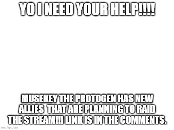 I need your help. Check the comments: | YO I NEED YOUR HELP!!!! MUSEKEY THE PROTOGEN HAS NEW ALLIES  THAT ARE PLANNING TO RAID THE STREAM!!! LINK IS IN THE COMMENTS. | image tagged in blank white template,help | made w/ Imgflip meme maker