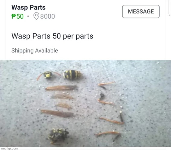 wasp parts | made w/ Imgflip meme maker