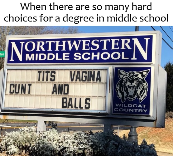 When there are so many hard choices for a degree in middle school | image tagged in balls | made w/ Imgflip meme maker