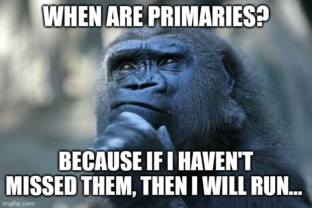 Don't know what for, probably president, but we'll see | WHEN ARE PRIMARIES? BECAUSE IF I HAVEN'T MISSED THEM, THEN I WILL RUN... | image tagged in deep thoughts | made w/ Imgflip meme maker