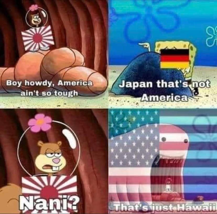 Japan vs. America Blank Meme Template