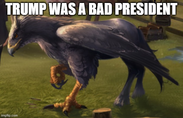 Hippogriff | TRUMP WAS A BAD PRESIDENT | image tagged in hippogriff | made w/ Imgflip meme maker