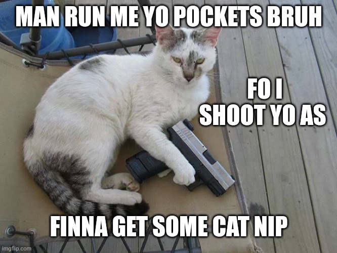 CAT NIP OR DEATH | MAN RUN ME YO POCKETS BRUH; FO I SHOOT YO AS; FINNA GET SOME CAT NIP | image tagged in cat nip or death | made w/ Imgflip meme maker
