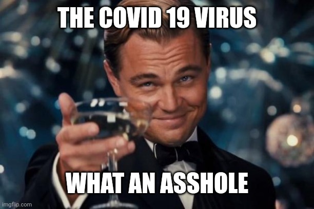 Cheers COVID | THE COVID 19 VIRUS; WHAT AN ASSHOLE | image tagged in memes,leonardo dicaprio cheers,covid,pandemic,coronavirus | made w/ Imgflip meme maker