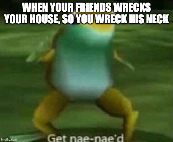 Get nae-nae'd | WHEN YOUR FRIENDS WRECKS YOUR HOUSE, SO YOU WRECK HIS NECK | image tagged in get nae-nae'd | made w/ Imgflip meme maker