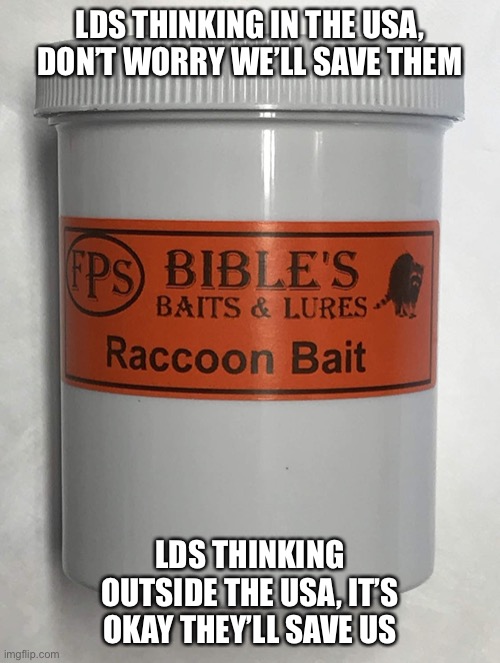 Coon Hunting | LDS THINKING IN THE USA, DON’T WORRY WE’LL SAVE THEM; LDS THINKING OUTSIDE THE USA, IT’S OKAY THEY’LL SAVE US | image tagged in lds,raccoon | made w/ Imgflip meme maker