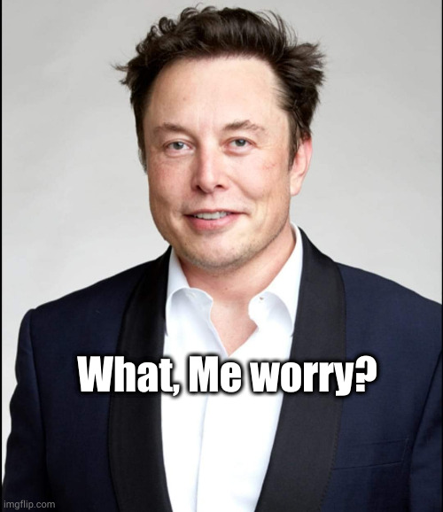 What, Me worry? | image tagged in elon musk | made w/ Imgflip meme maker