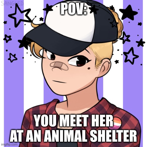 can be a romance rp, but she is lesbian. no erp, sfw, and enjoy! | POV:; YOU MEET HER AT AN ANIMAL SHELTER | made w/ Imgflip meme maker