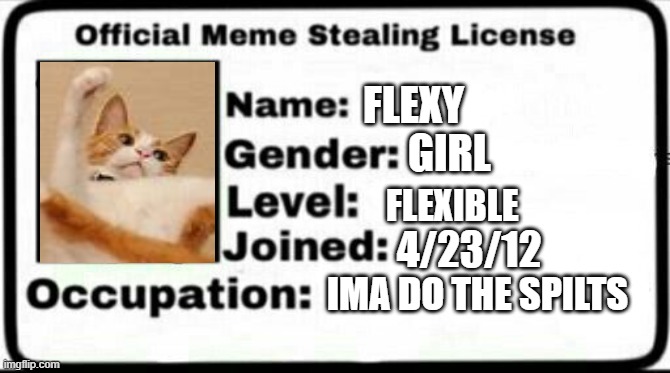 Meme Stealing License | FLEXY; GIRL; FLEXIBLE; 4/23/12; IMA DO THE SPILTS | image tagged in meme stealing license | made w/ Imgflip meme maker
