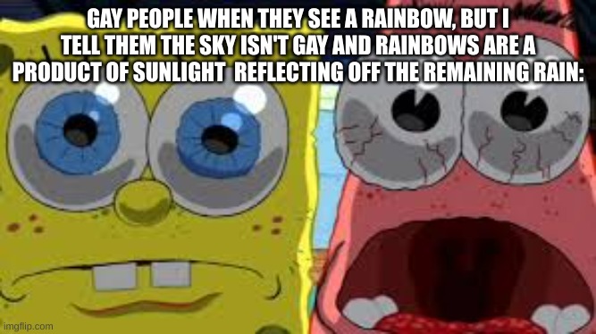 sorry if its too wordy and scientific | GAY PEOPLE WHEN THEY SEE A RAINBOW, BUT I TELL THEM THE SKY ISN'T GAY AND RAINBOWS ARE A PRODUCT OF SUNLIGHT  REFLECTING OFF THE REMAINING RAIN: | image tagged in spongebob and patrick staring | made w/ Imgflip meme maker