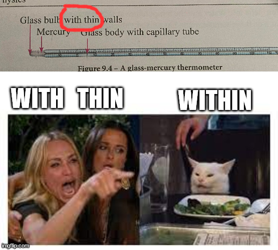 With thin or WITHIN | WITHIN; WITH   THIN | image tagged in woman yelling at cat | made w/ Imgflip meme maker