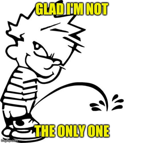 Calvin Peeing | GLAD I'M NOT THE ONLY ONE | image tagged in calvin peeing | made w/ Imgflip meme maker