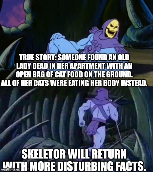 The person who saw this happen cried. | TRUE STORY: SOMEONE FOUND AN OLD LADY DEAD IN HER APARTMENT WITH AN OPEN BAG OF CAT FOOD ON THE GROUND. ALL OF HER CATS WERE EATING HER BODY INSTEAD. SKELETOR WILL RETURN WITH MORE DISTURBING FACTS. | image tagged in skeletor disturbing facts,true story | made w/ Imgflip meme maker