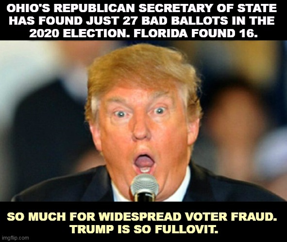 Trump lost. That's why he wanted Pence to overturn the results. Because he lost. | OHIO'S REPUBLICAN SECRETARY OF STATE 
HAS FOUND JUST 27 BAD BALLOTS IN THE 
2020 ELECTION. FLORIDA FOUND 16. SO MUCH FOR WIDESPREAD VOTER FRAUD. 
TRUMP IS SO FULLOVIT. | image tagged in trump,election 2020,no,fraud,election fraud,voter fraud | made w/ Imgflip meme maker