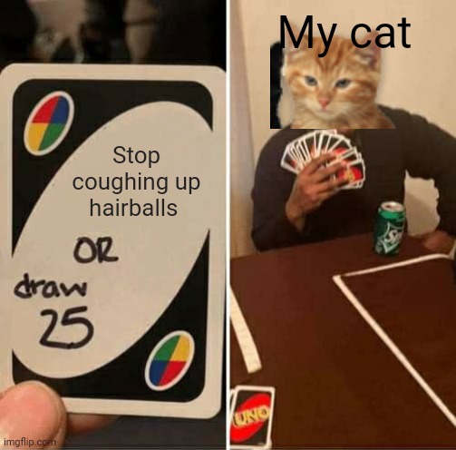 It's SO anoying!!!! | My cat; Stop coughing up hairballs | image tagged in memes,uno draw 25 cards,cats | made w/ Imgflip meme maker