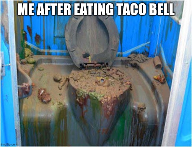 Destroyed Toilet | ME AFTER EATING TACO BELL | image tagged in destroyed toilet | made w/ Imgflip meme maker