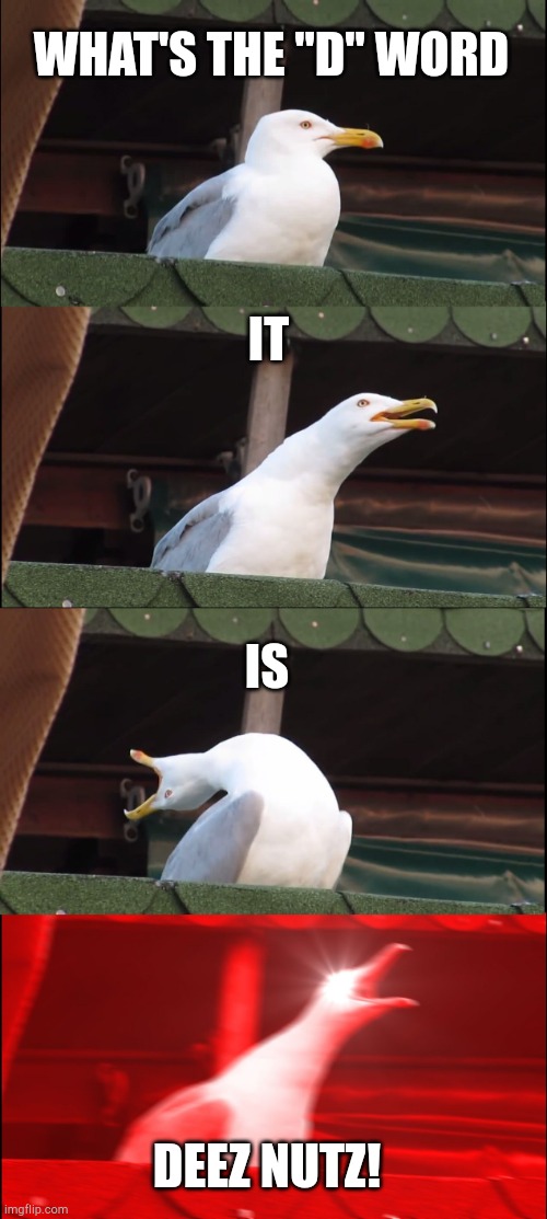 Inhaling Seagull | WHAT'S THE "D" WORD; IT; IS; DEEZ NUTZ! | image tagged in memes,inhaling seagull,deez nutz | made w/ Imgflip meme maker