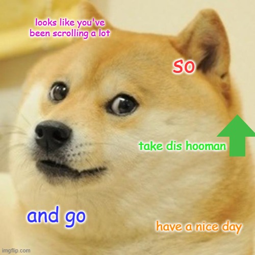 have a nice day | looks like you've been scrolling a lot; so; take dis hooman; and go; have a nice day | image tagged in memes,doge | made w/ Imgflip meme maker