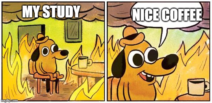 coffee is the best | NICE COFFEE; MY STUDY | image tagged in this is fine blank | made w/ Imgflip meme maker