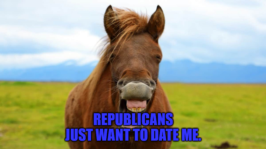 Horse Face | REPUBLICANS JUST WANT TO DATE ME. | image tagged in aoc | made w/ Imgflip meme maker