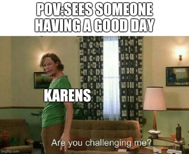 Are you challenging me? |  POV:SEES SOMEONE HAVING A GOOD DAY; KARENS | image tagged in are you challenging me | made w/ Imgflip meme maker