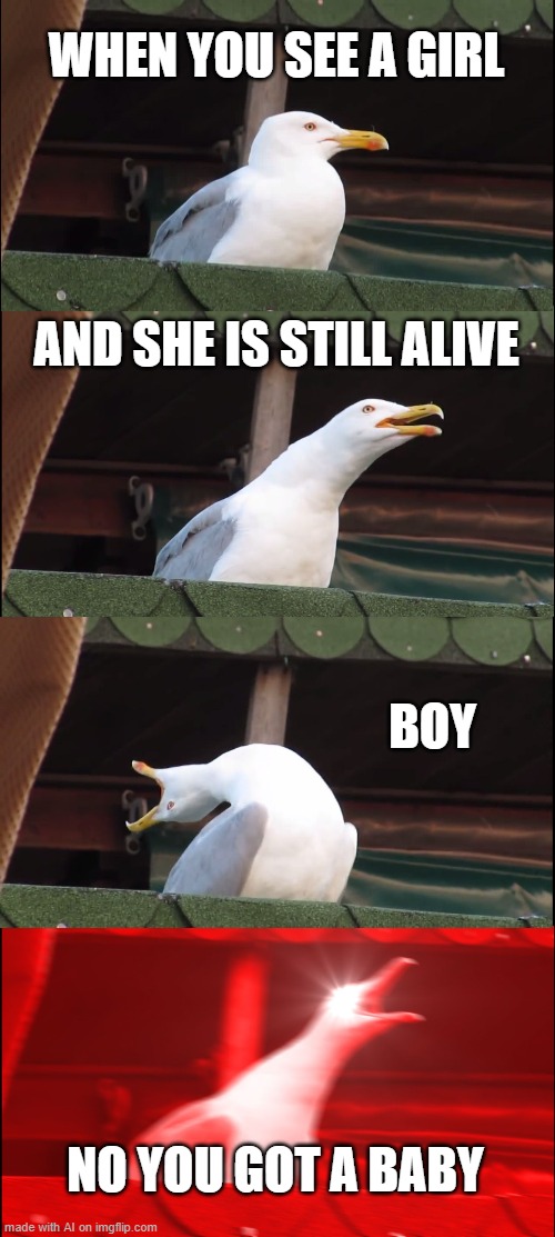 Inhaling Seagull | WHEN YOU SEE A GIRL; AND SHE IS STILL ALIVE; BOY; NO YOU GOT A BABY | image tagged in memes,inhaling seagull | made w/ Imgflip meme maker