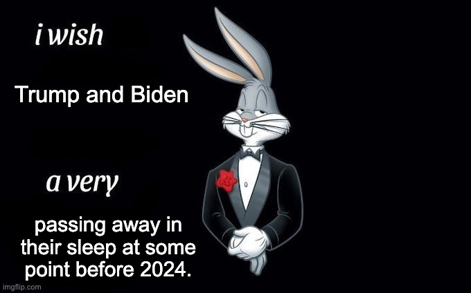 They're old, they're senile, let's hope we don't have to go through this again. | Trump and Biden; passing away in their sleep at some point before 2024. | image tagged in i wish all x a very y,donald trump,joe biden,election 2020 | made w/ Imgflip meme maker