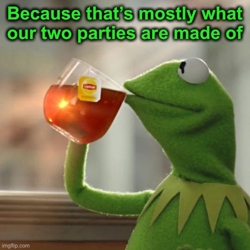 But That's None Of My Business Meme | Because that’s mostly what our two parties are made of | image tagged in memes,but that's none of my business,kermit the frog | made w/ Imgflip meme maker
