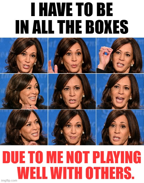 Kamala Harris' Version Of The Brady Bunch | I HAVE TO BE IN ALL THE BOXES; DUE TO ME NOT PLAYING    WELL WITH OTHERS. | image tagged in memes,politics,kamala harris,brady bunch,all,boxes | made w/ Imgflip meme maker