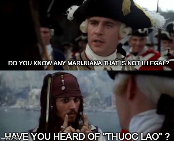 Worst Pirate | DO YOU KNOW ANY MARIJUANA THAT IS NOT ILLEGAL? HAVE YOU HEARD OF "THUOC LAO" ? | image tagged in worst pirate | made w/ Imgflip meme maker