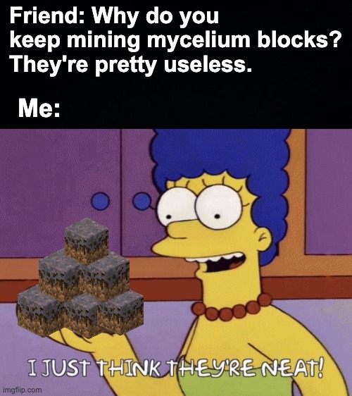 I dunno why, they're pretty cool! | Friend: Why do you keep mining mycelium blocks? They're pretty useless. Me: | image tagged in i just think they're neat,memes,unfunny | made w/ Imgflip meme maker